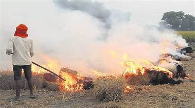 Supreme Court Acts on India Today’s Exposé: Stubble Burning Loopholes Under Scrutiny