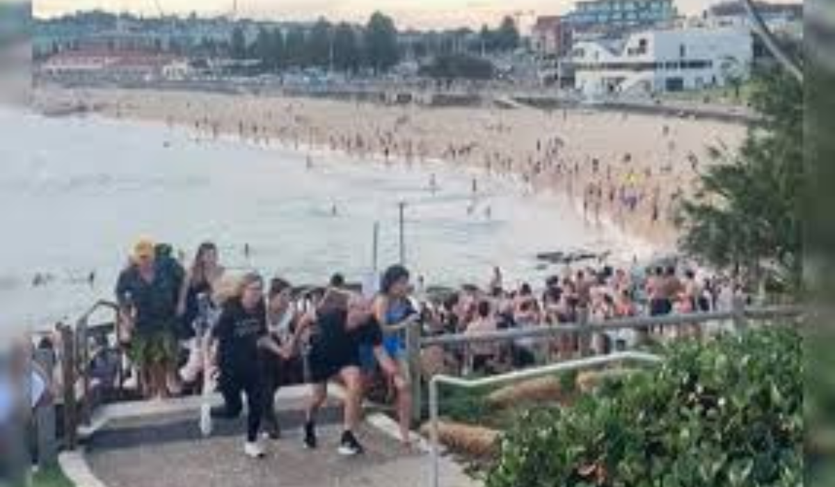 Bondi Beach Shooting: Sajid Akram Confirmed as Indian National, 15 Killed in Sydney Attack
